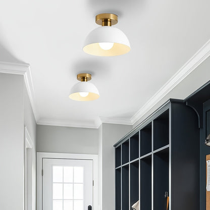 Matte Semi-Flush Ceiling Lamp