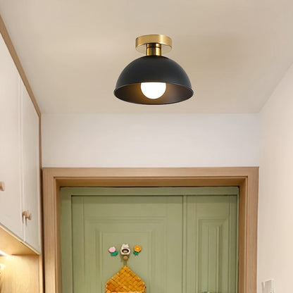 Matte Semi-Flush Ceiling Lamp