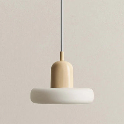 Morandi Muted Dome Pendant