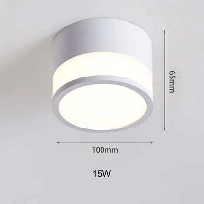 Nordic Surface LED Downlight