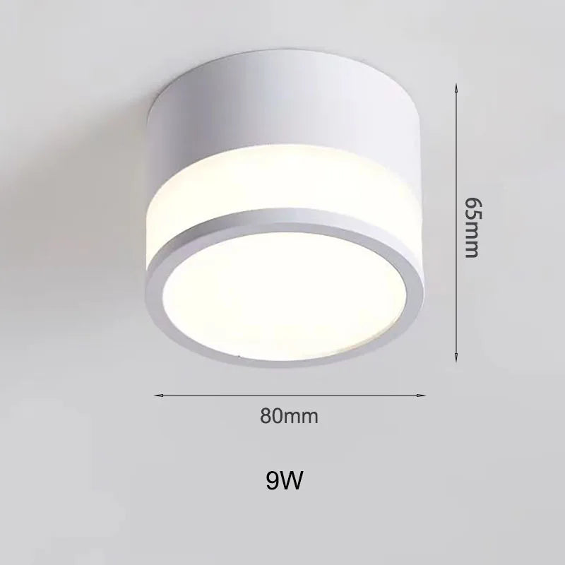 Nordic Surface LED Downlight