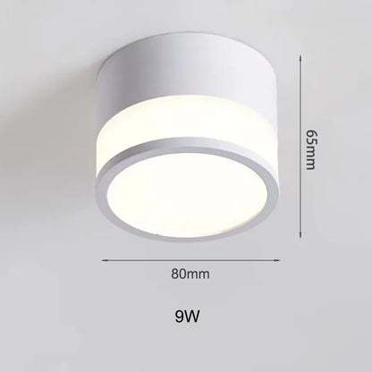 Nordic Surface LED Downlight