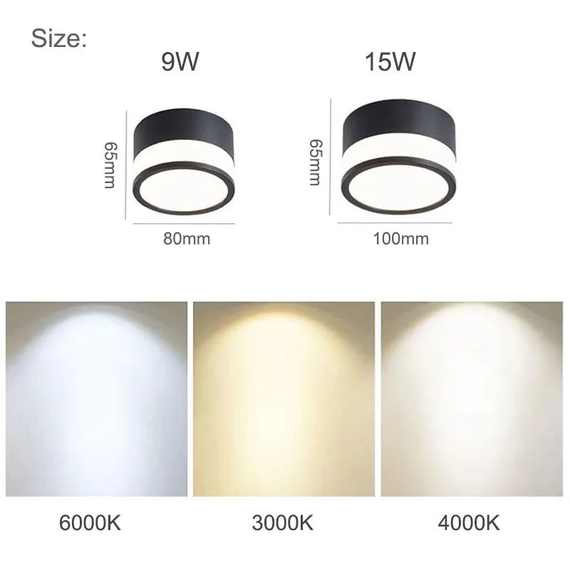 Nordic Surface LED Downlight