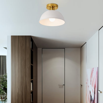 Matte Semi-Flush Ceiling Lamp